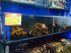 -蚝专家(北滘店)