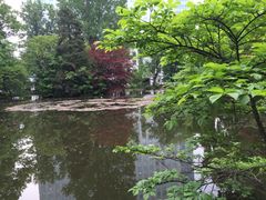 -北海道厅旧本厅舍(旧本庁舎)