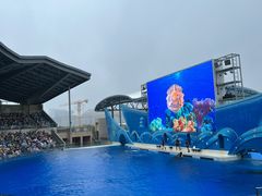 -上海海昌海洋公园