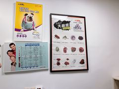 -奈斯宠物医院·核磁CT·异宠专科·内镜(中南店)