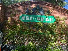 -幽岚山·童话森林