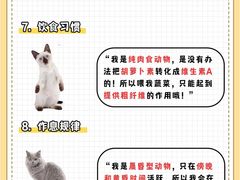 -翊宠yipet猫狗购宠庄园犬舍•猫舍