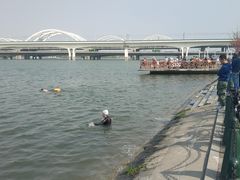-灞河西岸滨河公园