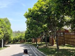 -广州市流溪河国家森林公园