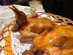 招牌红烧乳鸽-有腥气私房菜·寻味顺德
