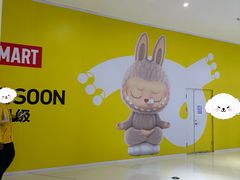 -泡泡玛特POPMART(合生汇店)