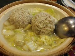 -丁老爷子苏香圆