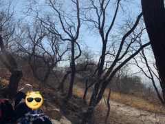 -北京西山国家森林公园