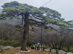 -黄山风景区