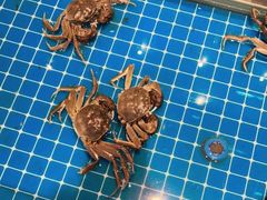 -星伦多自助料理(宝山龙湖天街店)