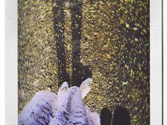 -尚贤河湿地