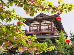 -西安青龙寺遗址景区