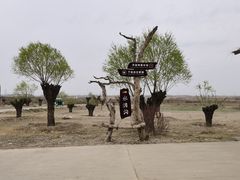 -水洞沟旅游区