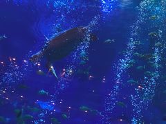 -成都浩海立方海洋公园