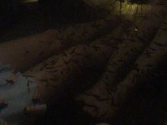 -咸宁万豪温泉谷度假区