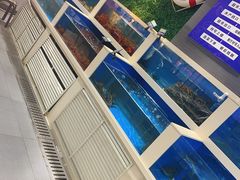 -渔乐圈海鲜餐厅(群力金江路店)