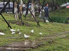 -东湖景区