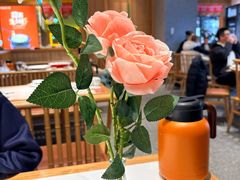 -鸡毛店·川菜(文殊院店)