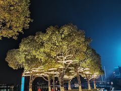 -映月湖中央公园