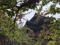 -西安青龙寺遗址景区