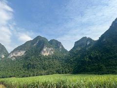 -明仕田园