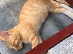 -李叔同故居纪念馆