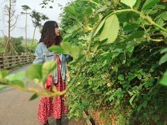 -白鹭湾湿地公园