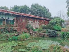 -中国茶叶博物馆(双峰馆区)