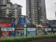 -朱毅育龙游泳俱乐部