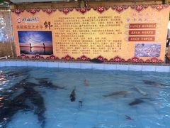 -胖姐渔村(中源大道店)