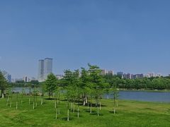 -滨湖塘西河公园