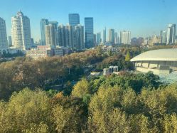 -海豚湾高端月子会所(黄浦店)