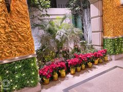 -外滩8号 whisky bar(金延大厦店)