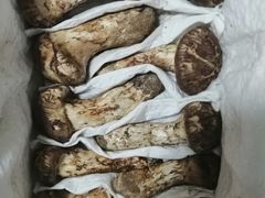 -新华百货CC Park购物广场