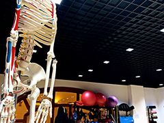 -浦鸿会游泳健身中心·Ambassy Club PD(金桥碧云国际社区店)