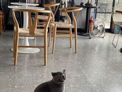 大堂-NOTOOCAFE不二咖啡馆(岩前店)