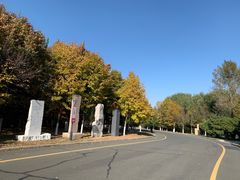 -长春世界雕塑园冰雪艺术天地