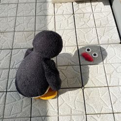 -首都医科大学附属北京儿童医院