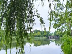 -九里河湿地公园