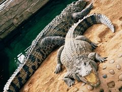 -石家庄市动物园