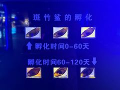 -大连圣亚海洋世界