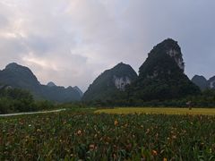-靖西鹅泉风景区