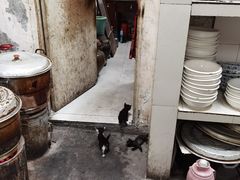 -周师饭店