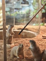 -Zoolung Zoolung动物主题公园(海信广场店)