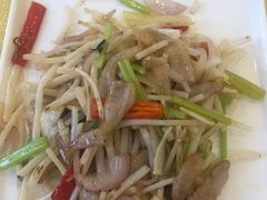 小炒菊花心-姚林轩