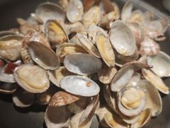 蛤蜊-前海沿·青岛菜(乐客城店)