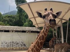 -泉州海丝野生动物世界