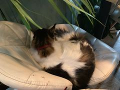 -小时光咖啡馆(北锣鼓巷店)