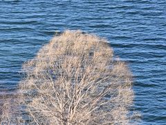 -黄河小浪底水利枢纽风景区