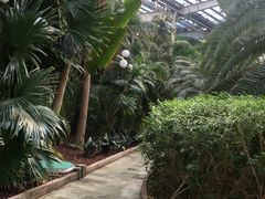 -龙达温泉生态城
